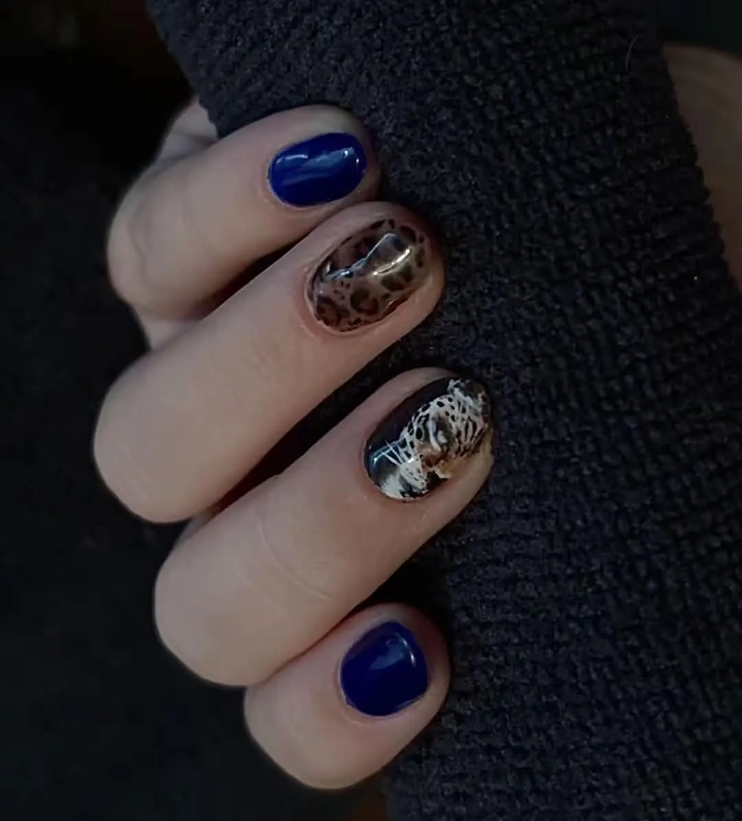 Navy nails with a tortoiseshell accent and a hand-painted leopard, by Makayla